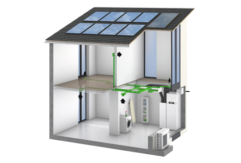 Plants: image 1 0f 4 thumb