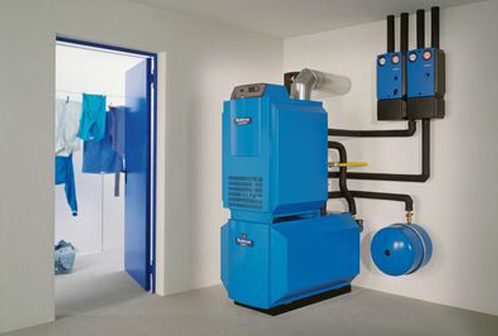 Plants: image 1 0f 4 thumb