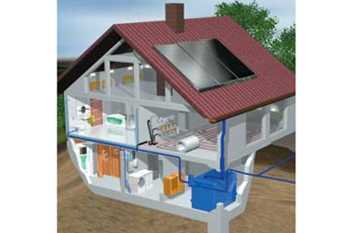 Plants: image 1 0f 4 thumb