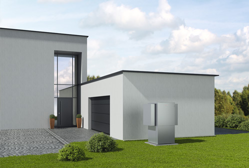 Plants: image 1 0f 4 thumb